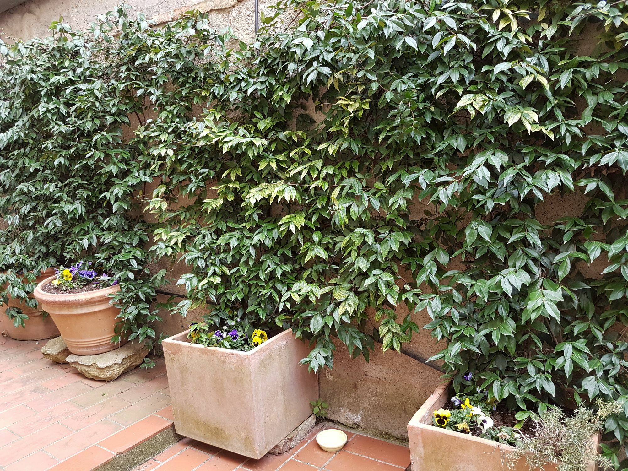 Casa Bardi Apartment San Gimignano Bagian luar foto